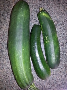 Zucchini crop