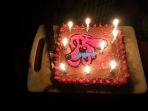 Johan's birthday cake!