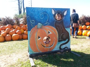 The cat and the pumpkin