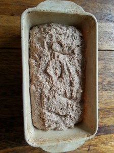 Dough after knead, before rising