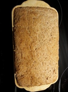 Risen dough after 6 hours prior to baking