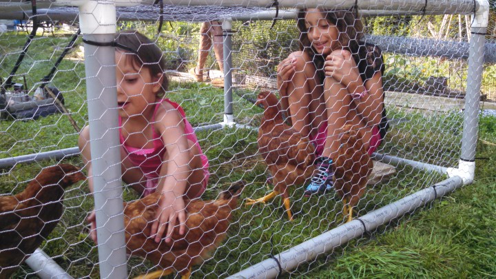 IMG_20160625_090753_359